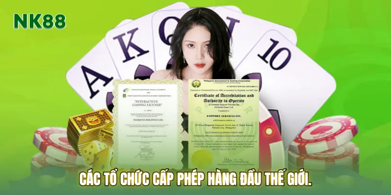 Các tổ chức cấp phép hàng đầu thế giới