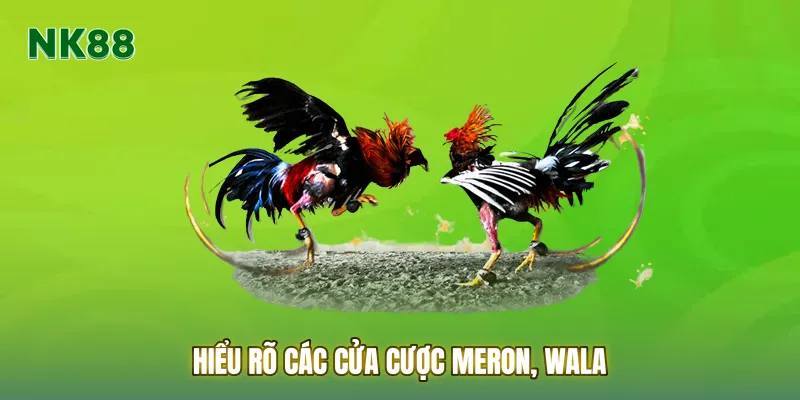 Hiểu rõ các cửa cược Meron, Wala giúp bạn tối ưu lợi nhuận
