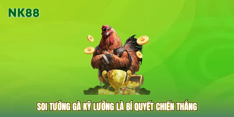 Soi tướng gà kỹ lưỡng là bí quyết chiến thắng của các cao thủ
